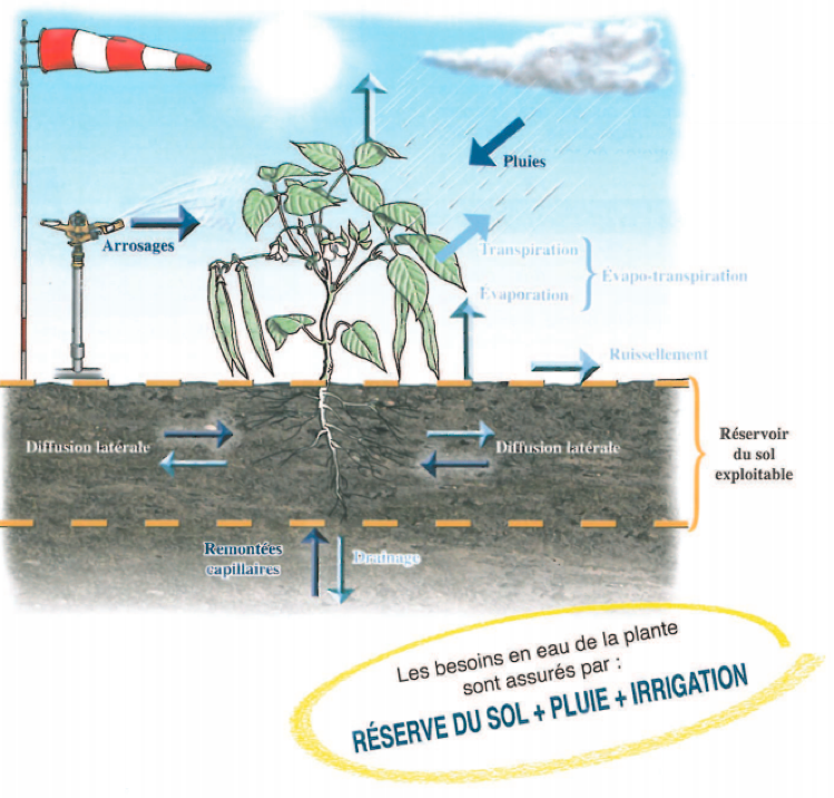 Irrigation - éléments hydriques