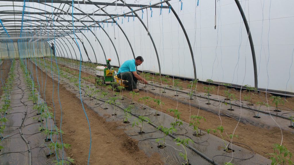 Robot agricole serre Station expérimentale Bretagne Sud