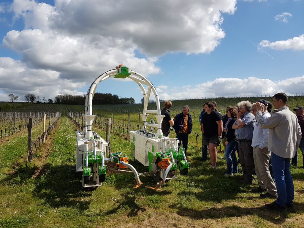 Robot désherbage vignes Ted - Univitis