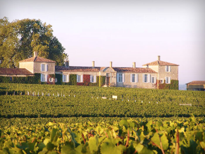 Un grand cru classe de Sauternes pour Ted