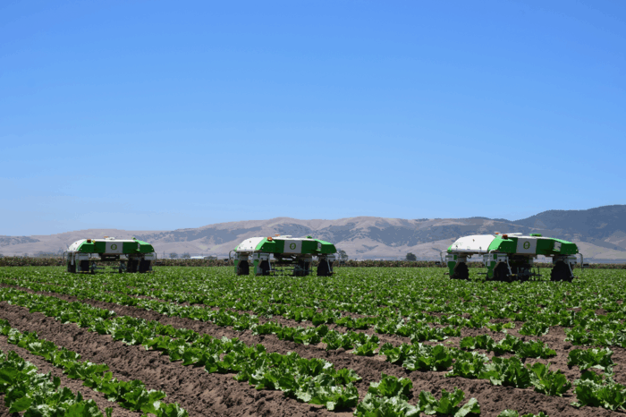 La robotique agricole au service du défi alimentaire mondial