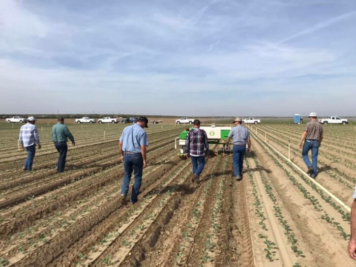 Dino est présent aux USA