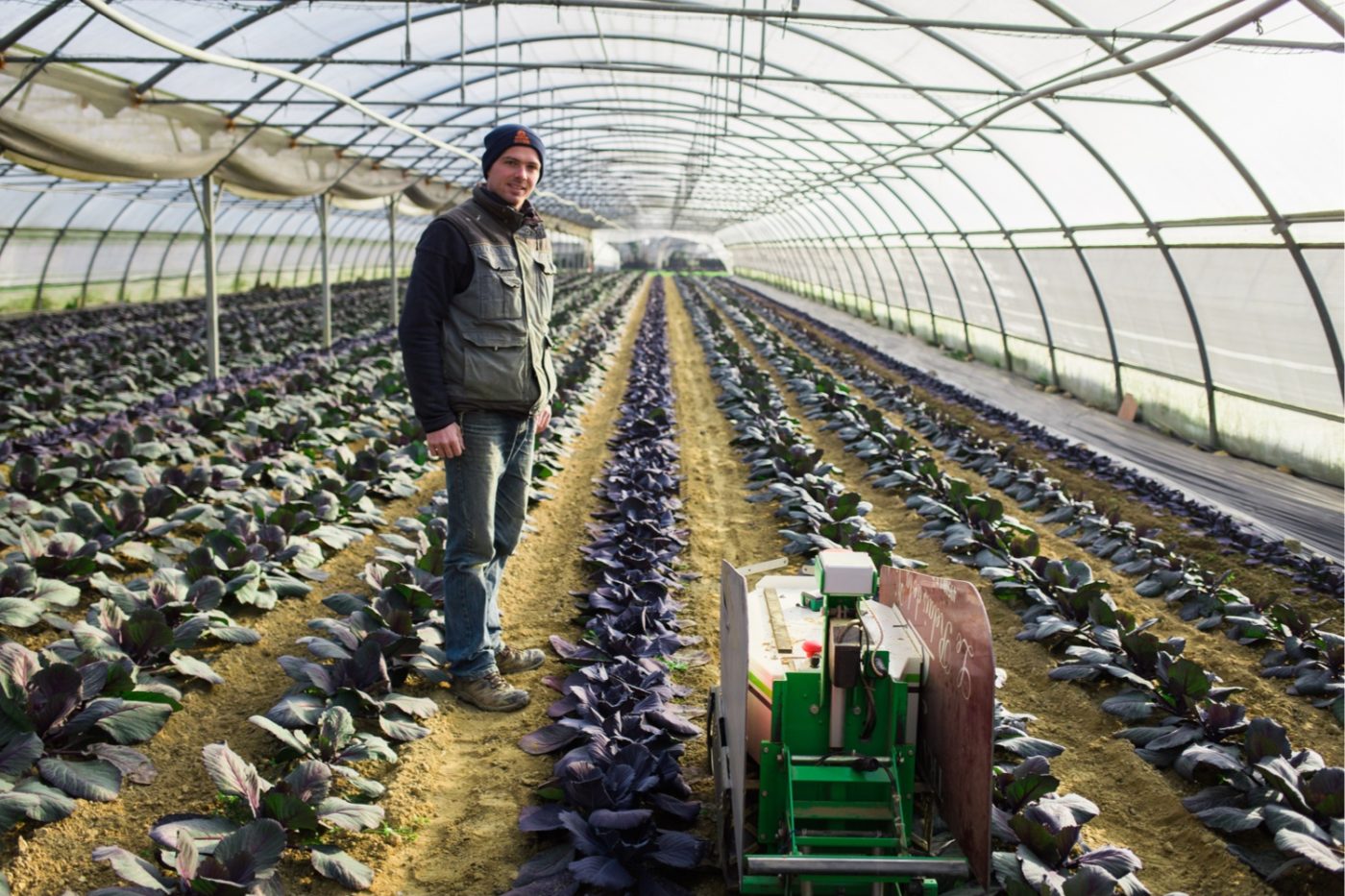 An organic seed producer on using OZ Naïo Technologies