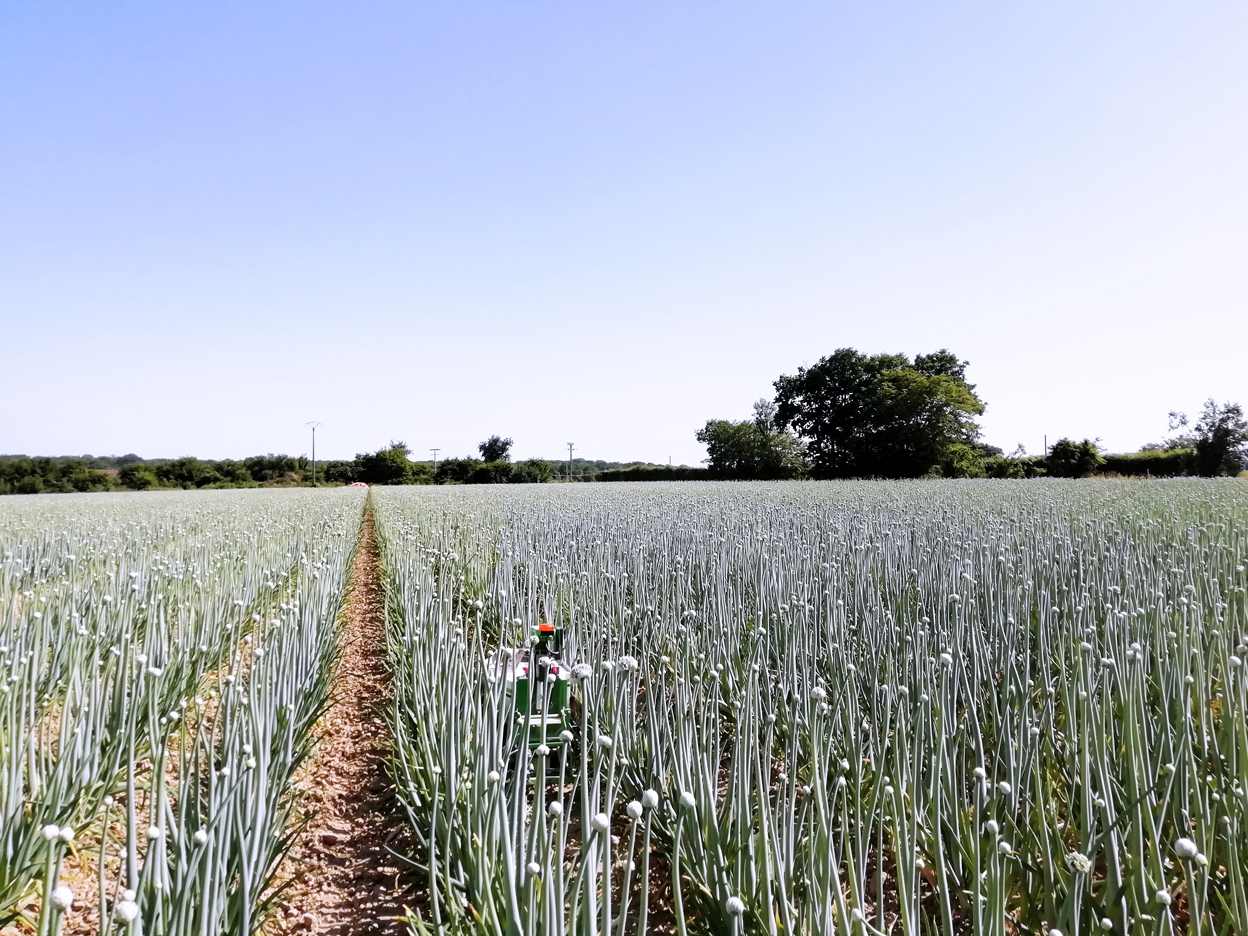 Oz & Onions Naïo Technologies