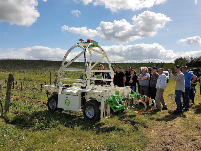 désherbage vigne Ted - Univitis