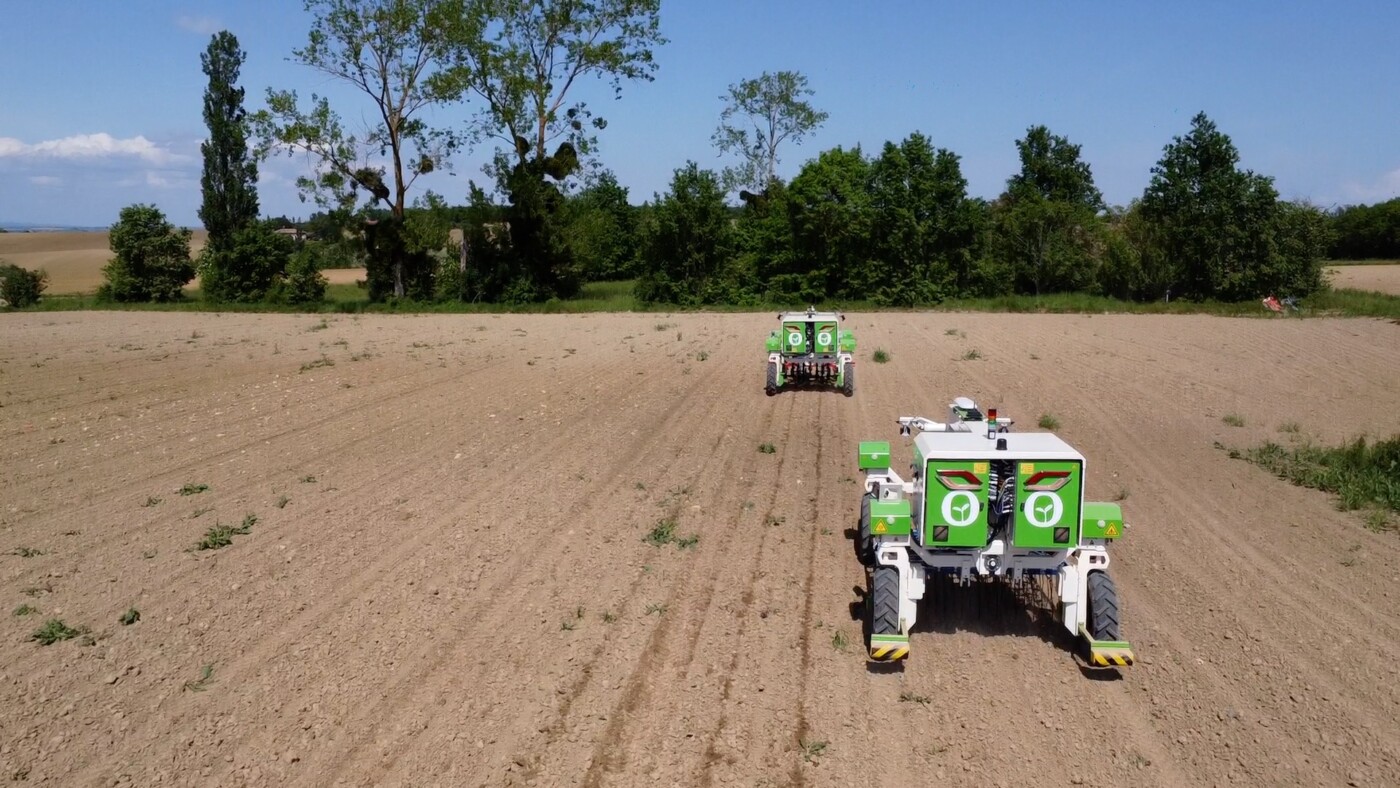 Orio robots working in a sunflower field