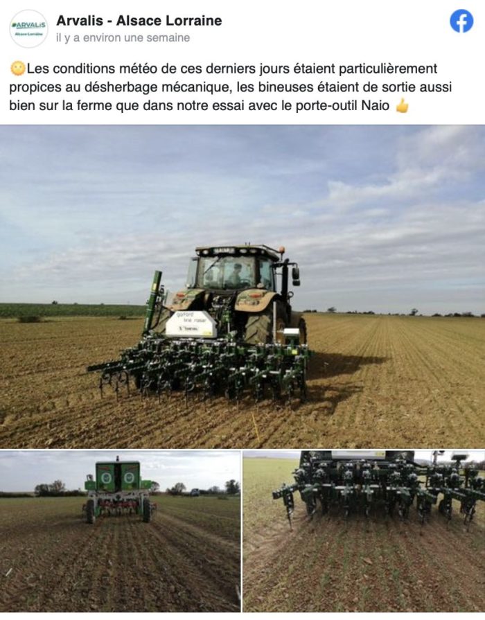 Désherbage céréales